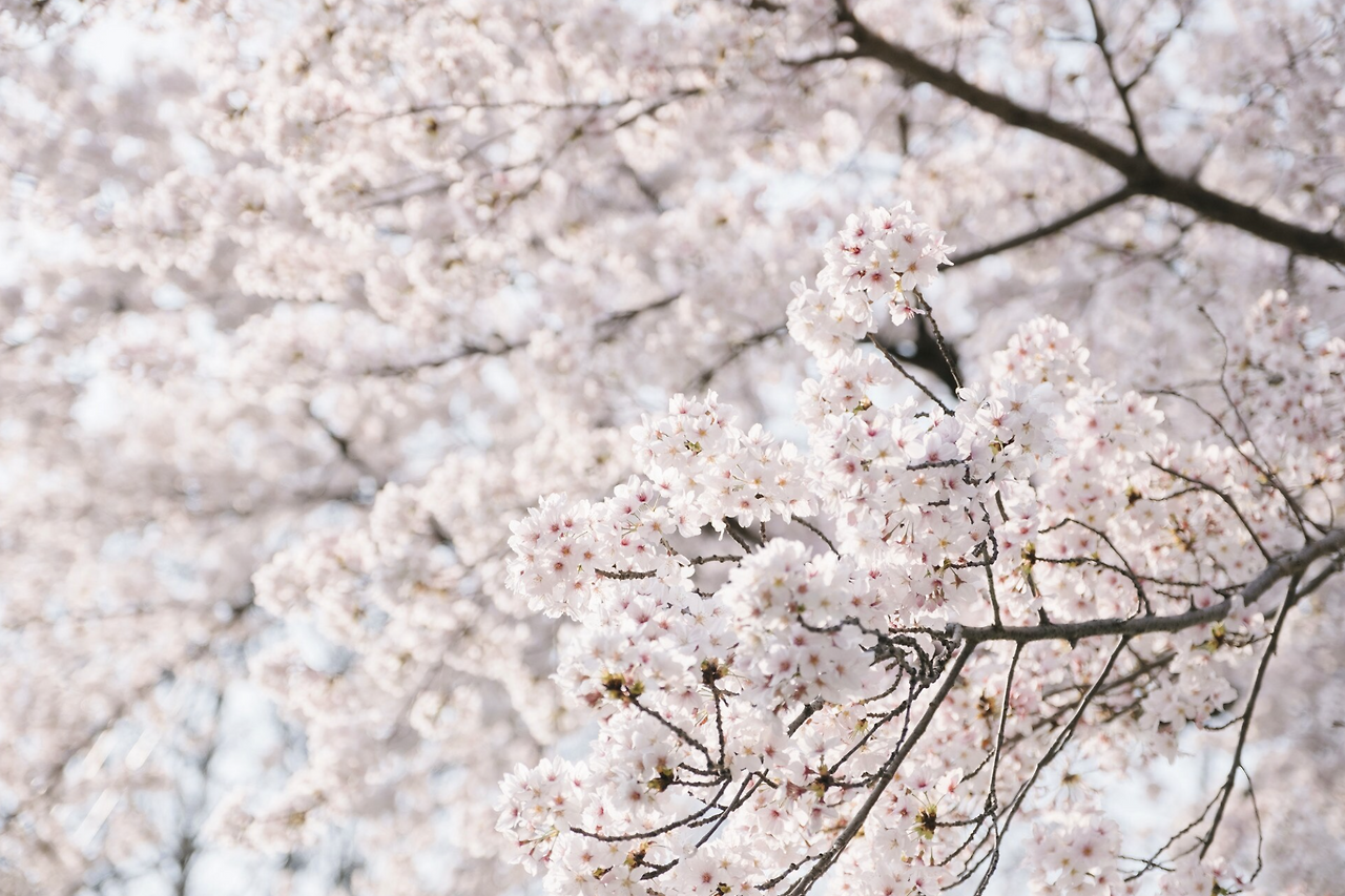 스크린샷 2026-03-04 오후 9.39.01.png