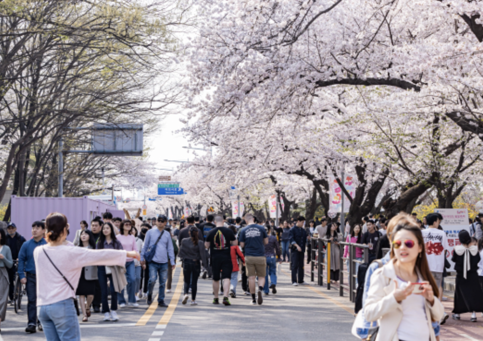 스크린샷 2026-03-04 오후 10.34.56.png