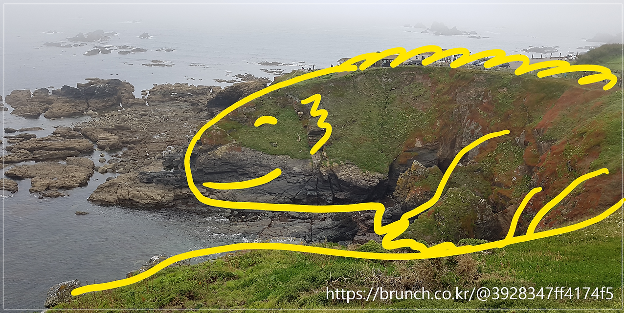 화면 캡처 2026-01-24 123246.png