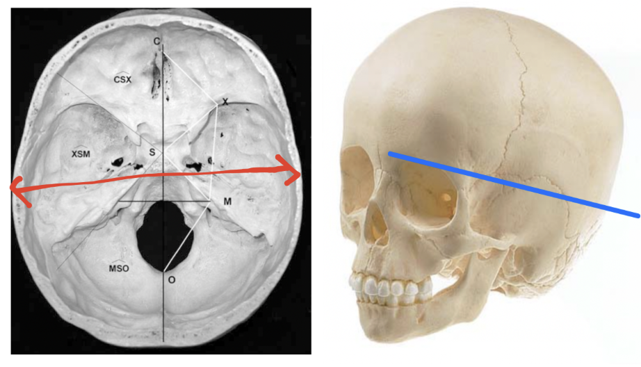 스크린샷 2026-01-22 15.20.33.png
