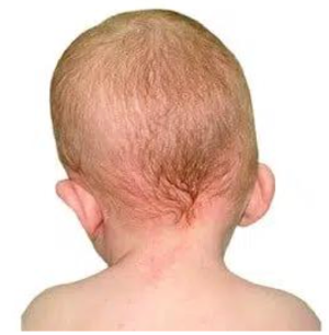 스크린샷 2026-01-27 09.50.58.png