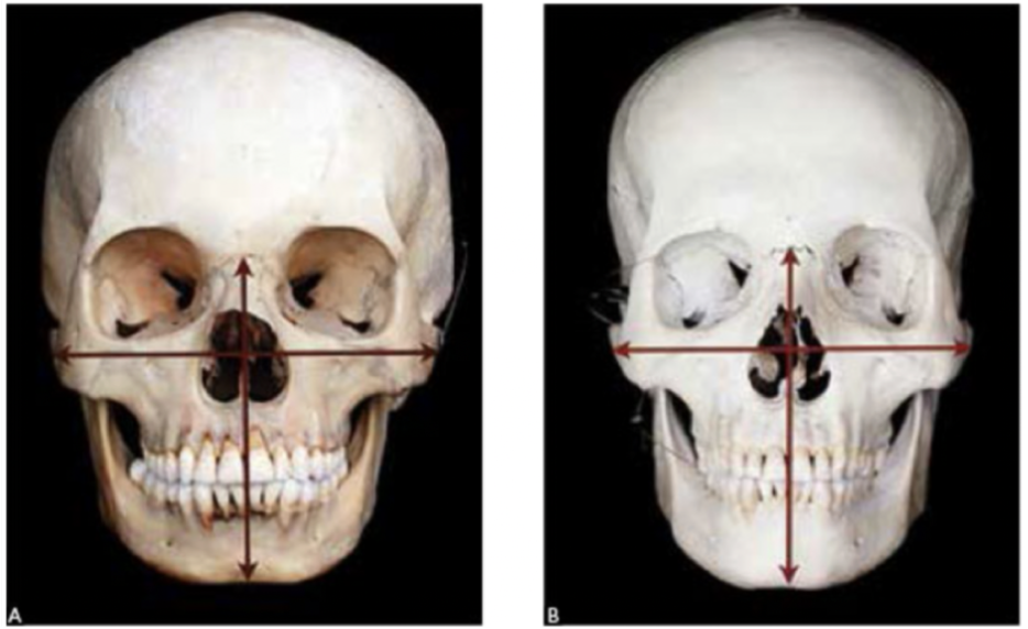 스크린샷 2026-01-22 15.23.25.png
