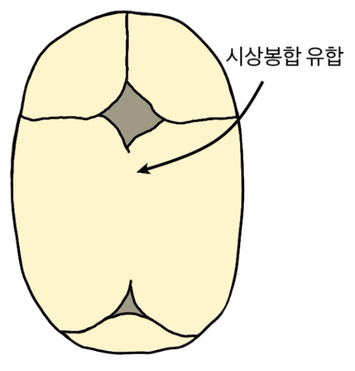 스크린샷 2026-01-27 09.49.07.png