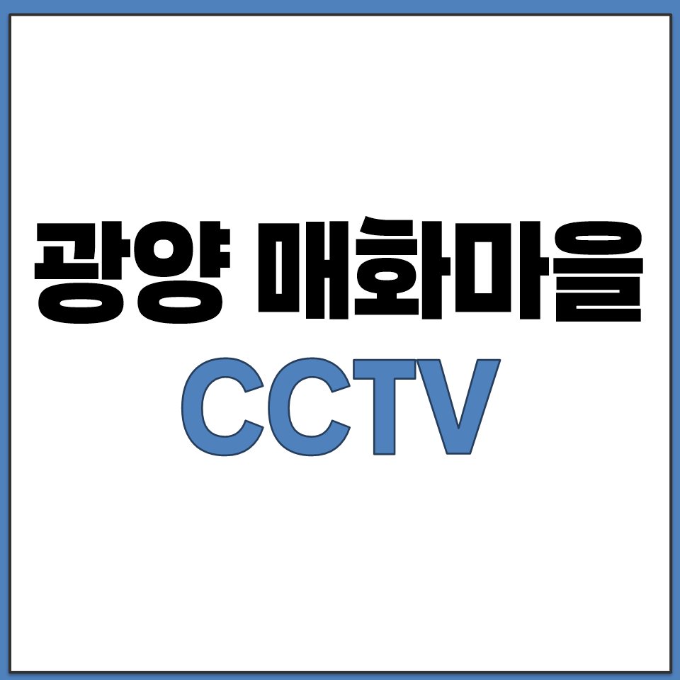 광양시청 공식 홈페이지 매화마을 실시간 교통 CCTV.png