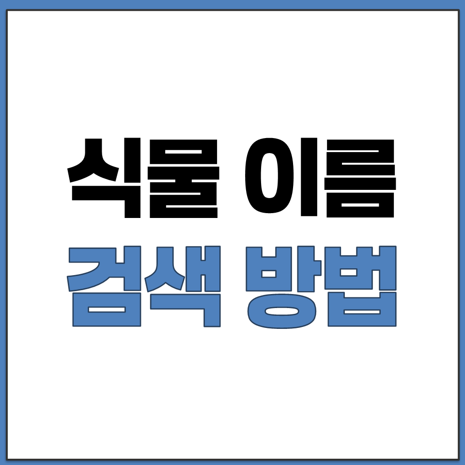 식물 이름 찾기 방법 도와주는 앱 어플 홈페이지 총정리.png