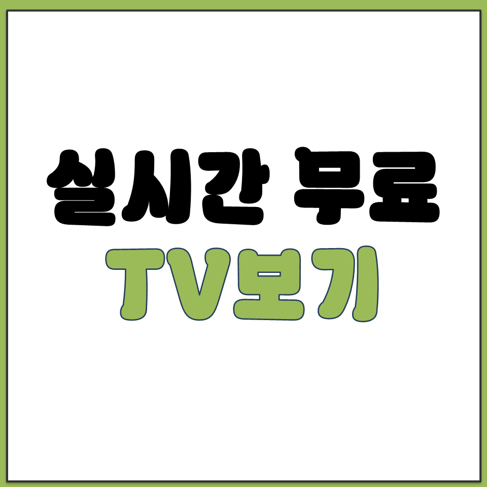 실시간 TV보기 사이트 바로가기.png