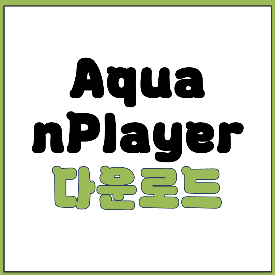 Aqua nPlayer exe dmg 설치 다운로드.png