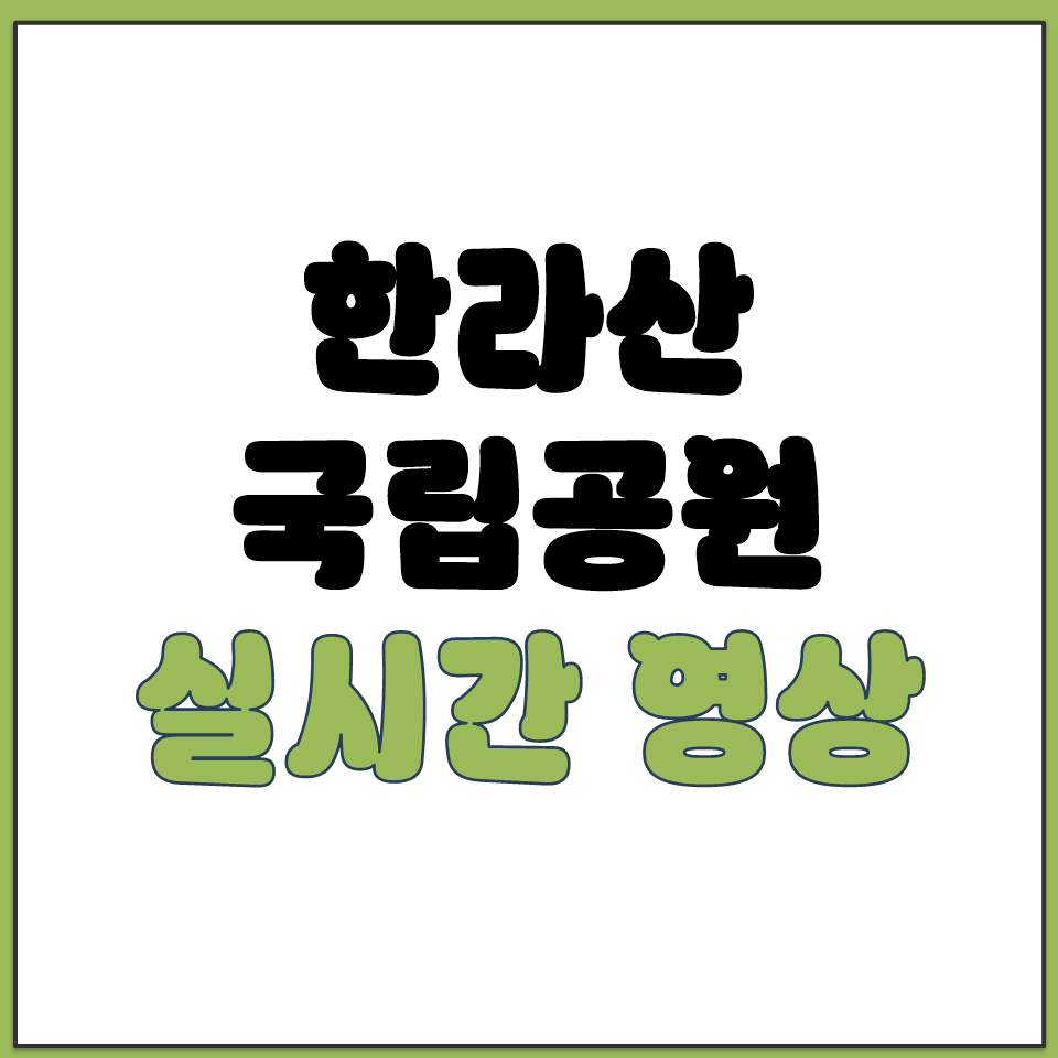 한라산 국립공원 실시간 영상 백록담 윗세오름 어승생악.png