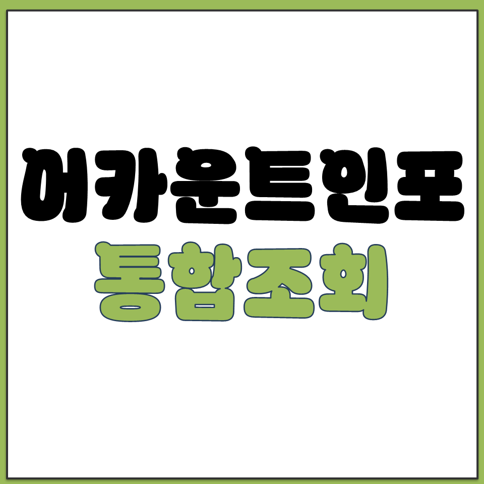 어카운트인포 금융정보 통합조회 서비스 홈페이지 바로가기.png