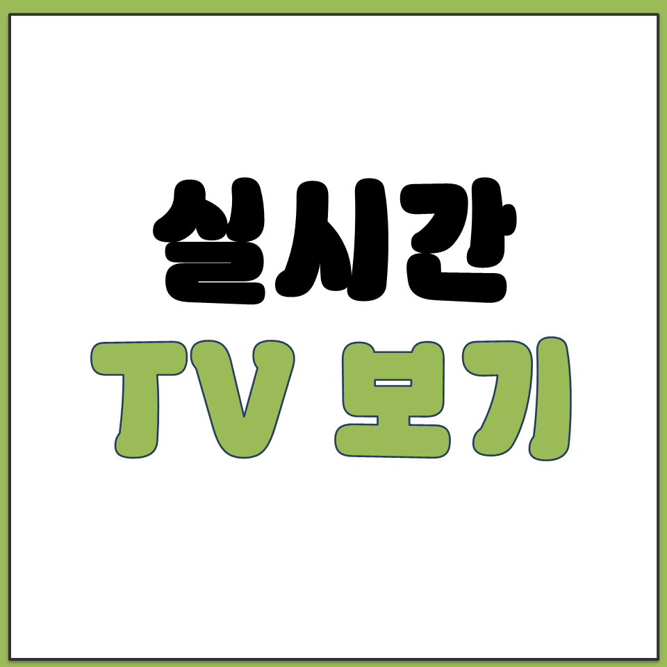 실시간 TV 보기 무료 시청 카카오톡 채널 추가 방법.png