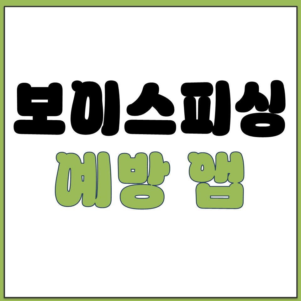 보이스피싱 예방 스마트폰 앱 어플 다운로드 설치 방법.png