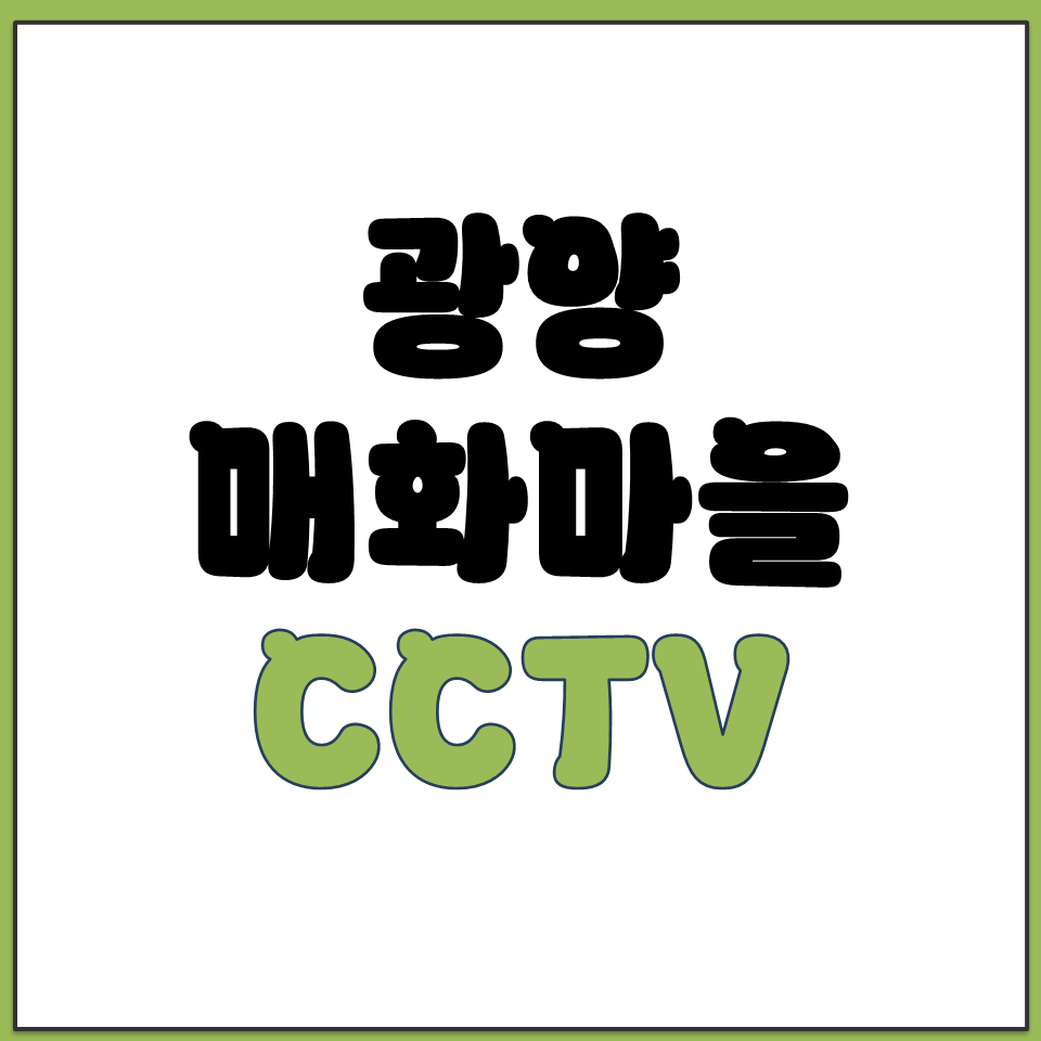 광양 매화마을 CCTV 실시간 보기 2026년 최신.png