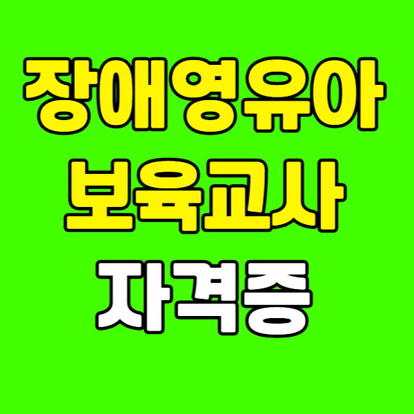 장애영유아보육교사 자격증 260223-012.png