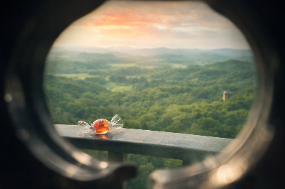 ChatGPT Image 2026년 2월 24일 오후 09_00_17.png