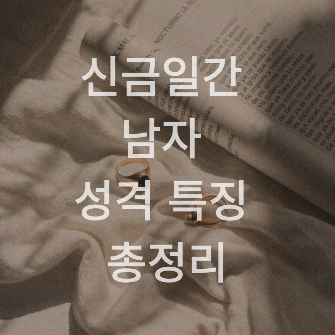 신금남자 (1).png