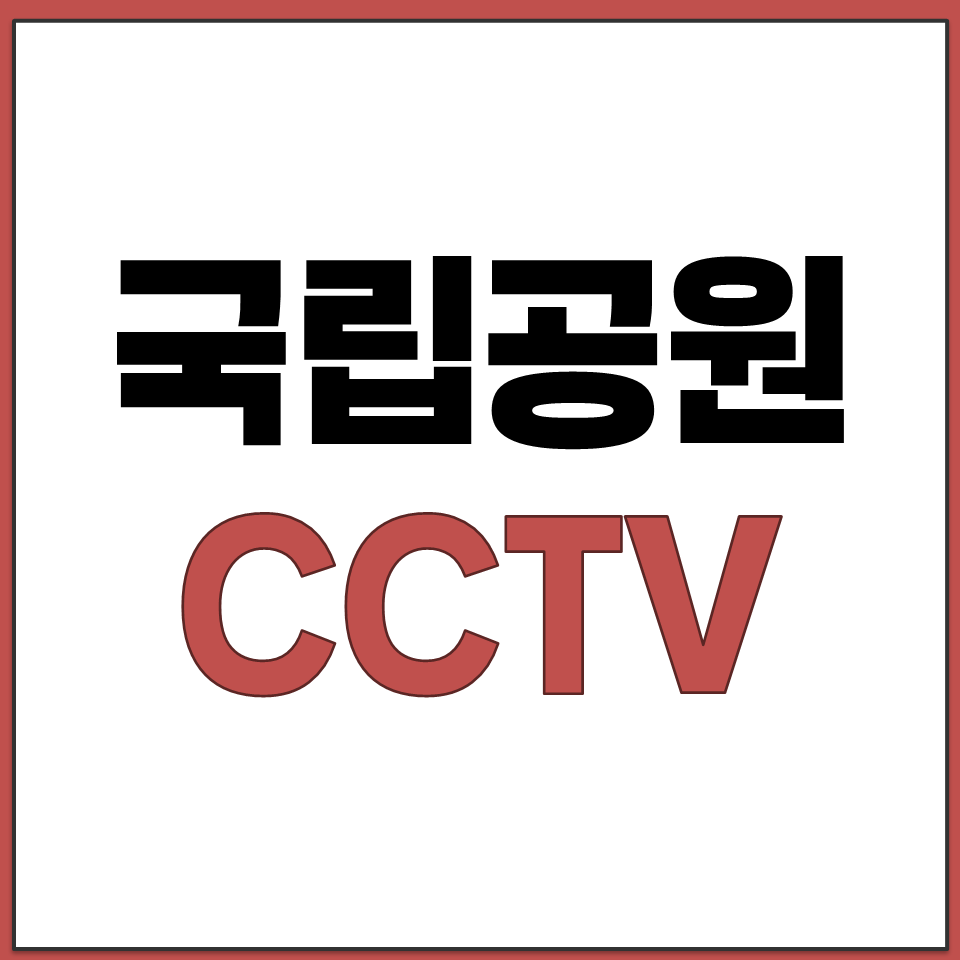 주왕산 무등산 계룡산 설악산 국립공원 CCTV 보기.png
