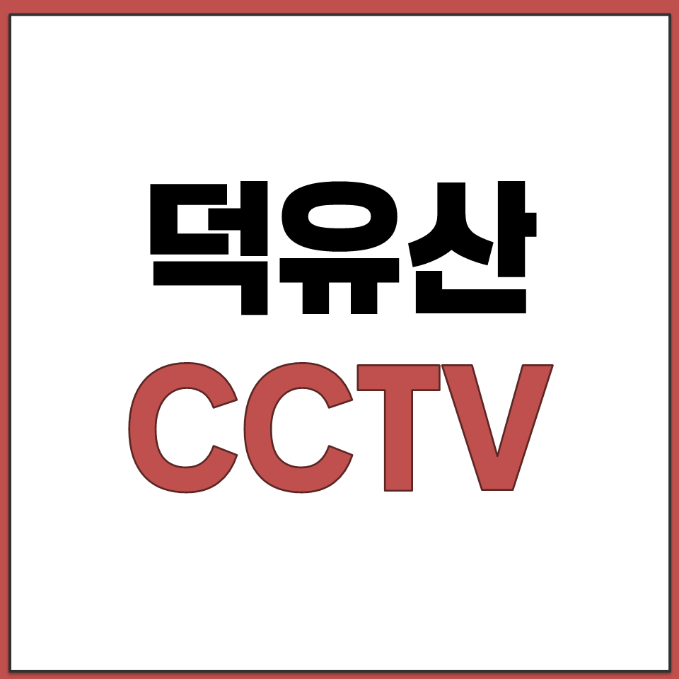 덕유산 CCTV 실시간 상황 라이브 보는 사이트 추천.png