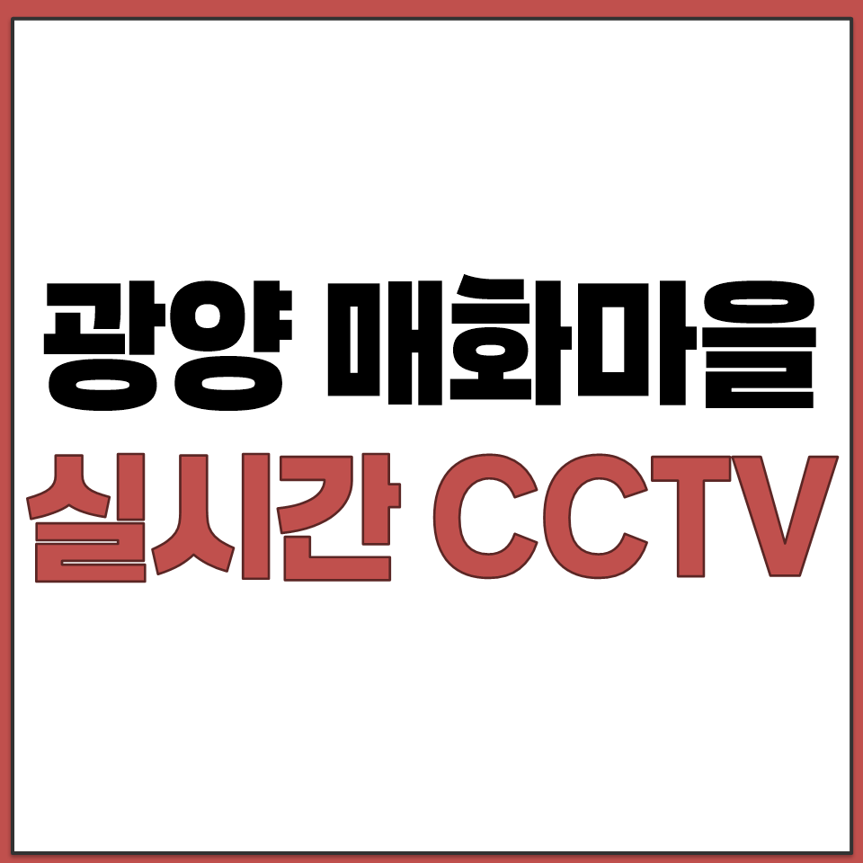 광양 매화마을 CCTV 실시간 보기 개화 상황 확인방법.png
