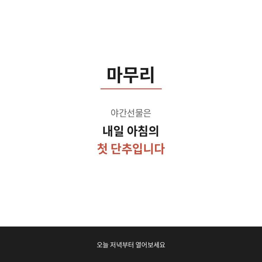 코스피 200 야간선물 마무리 (브런치).png