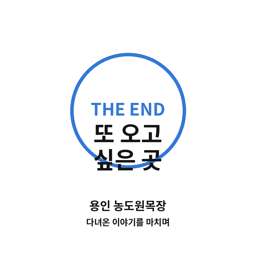용인 농도원목장 마무리 (브런치).png