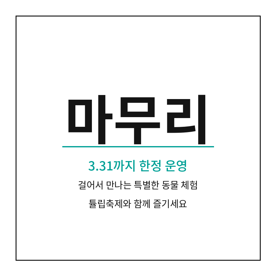 에버랜드 워킹사파리 마무리 (브런치).png