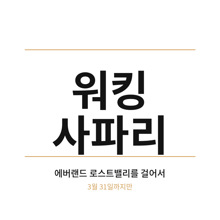에버랜드 워킹사파리 썸네일 (브런치).png
