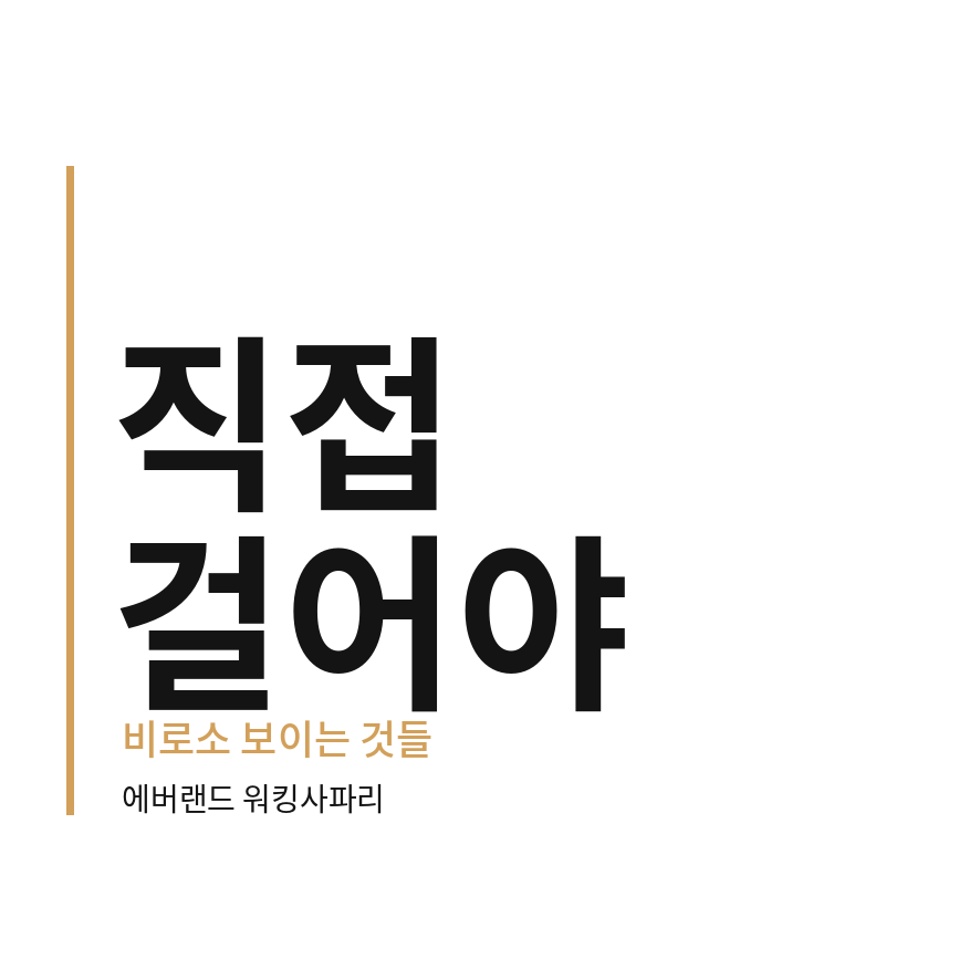 에버랜드 워킹사파리 마무리 (브런치).png