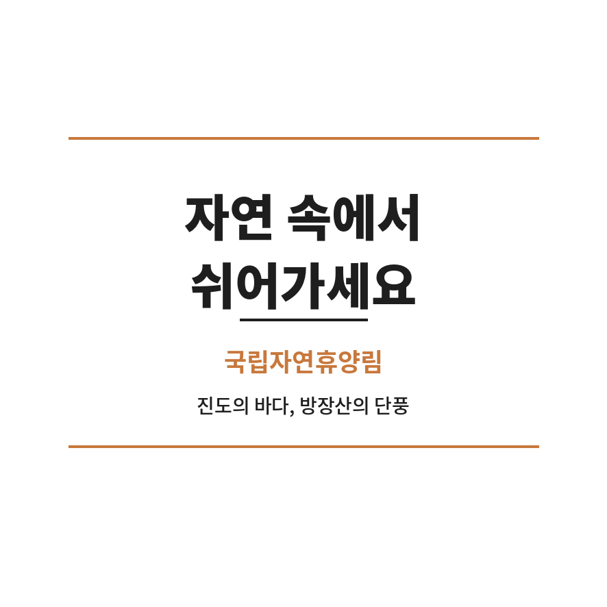 국립자연휴양림 마무리 (브런치).png