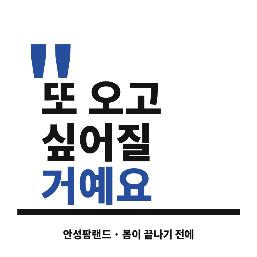 안성팜랜드 유채꽃 마무리 (브런치).png