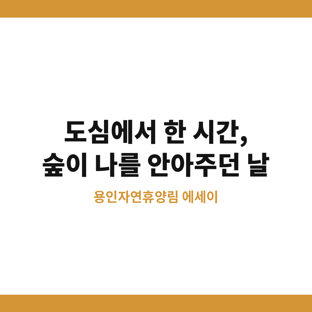 용인자연휴양림 썸네일 (브런치).png