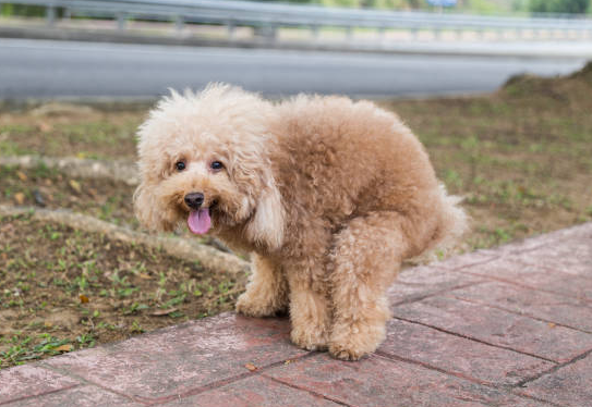 스크린샷 2026-02-25 175338.png