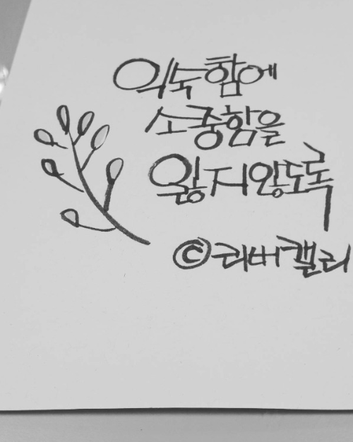 Cap 2026-02-15 13-53-41-416.png