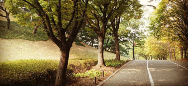 Cap 2026-02-11 00-18-01-139.png