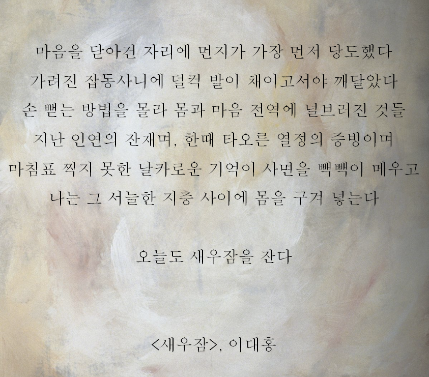 새우잠.png