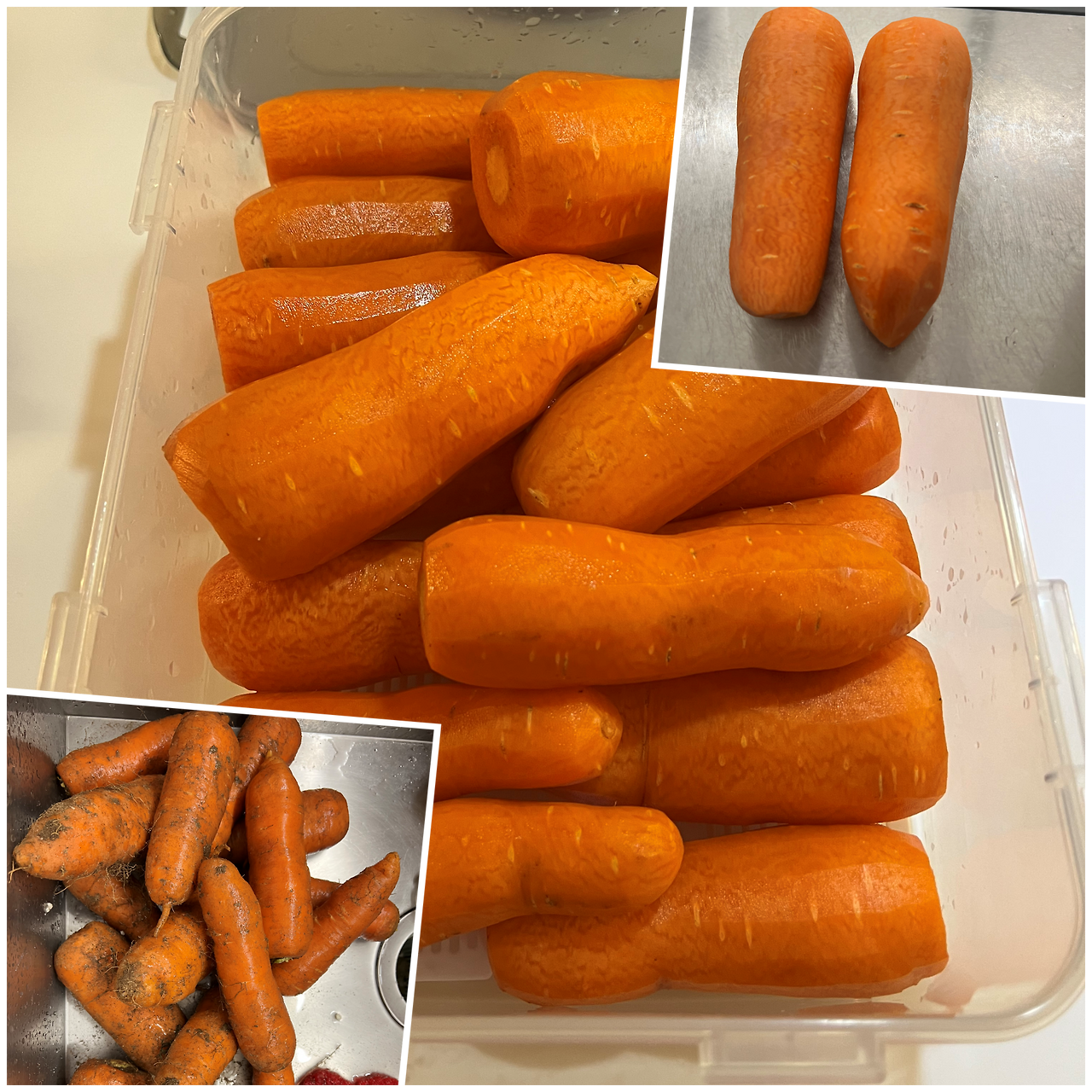 collage dgjdgjjj.png