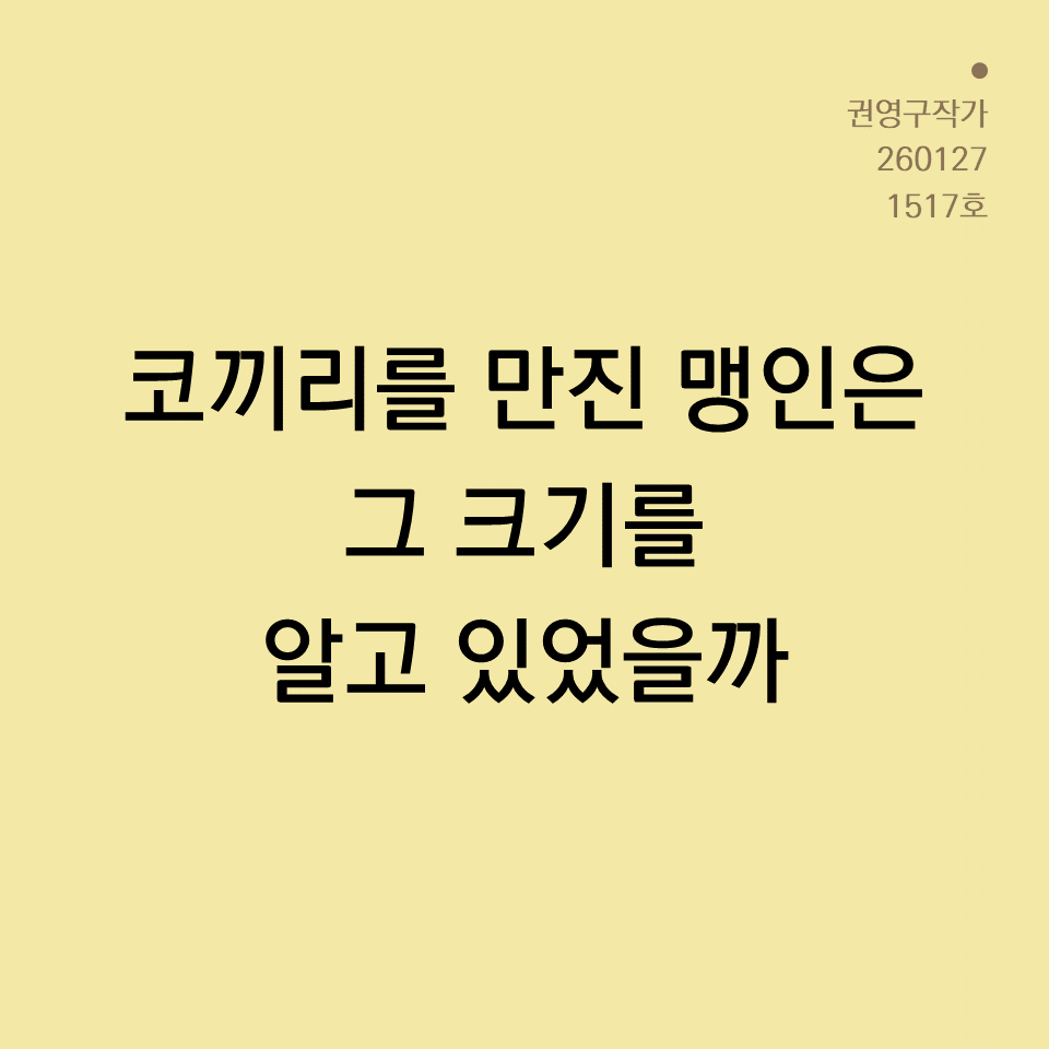 3_카드뉴스250603_yellow.png