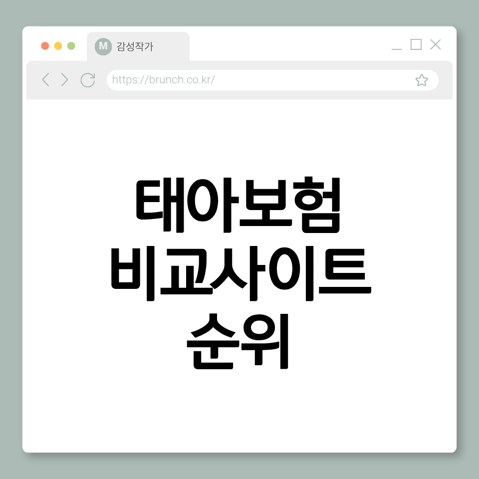 자동차보험 비교사이트 순위