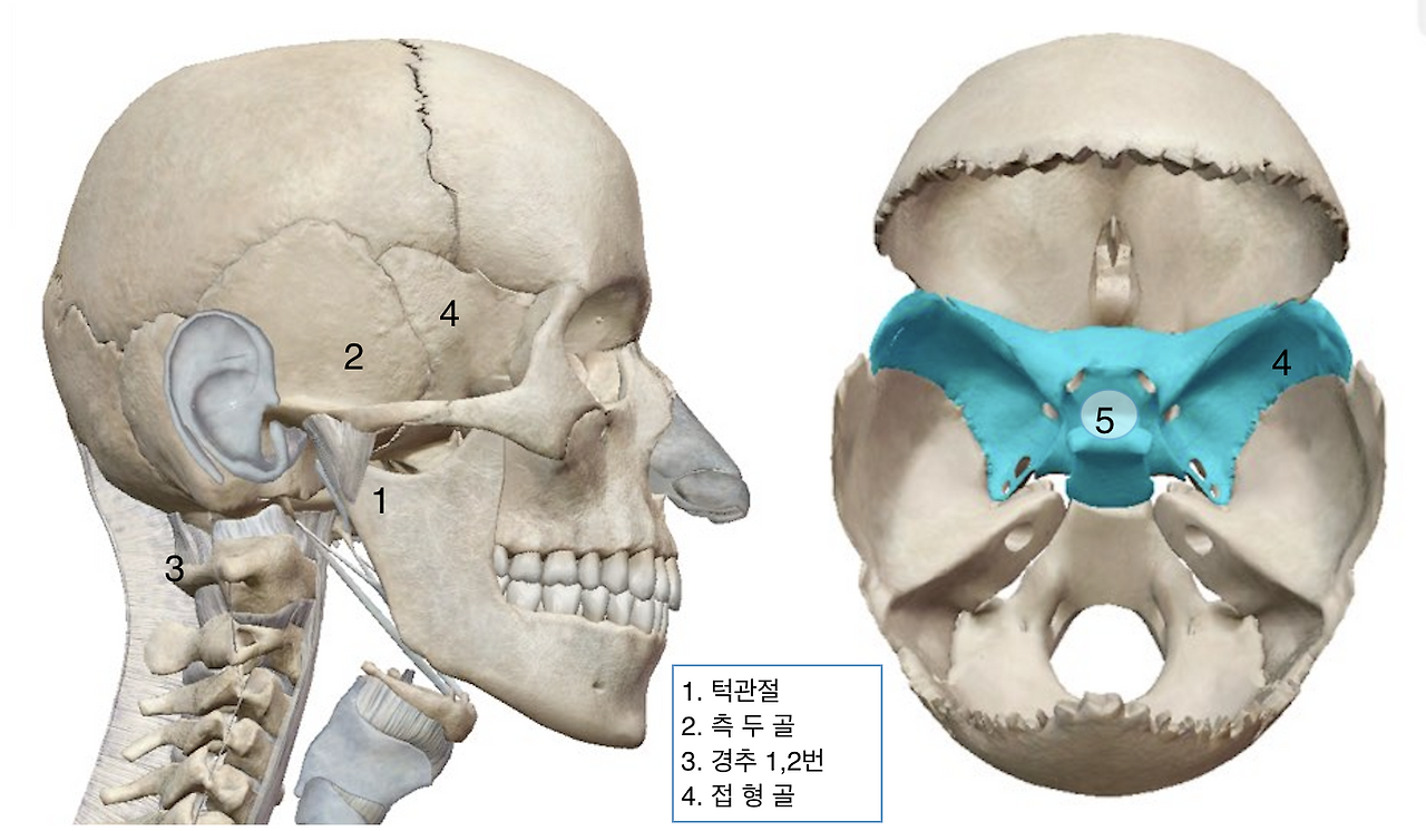 아이가 안큰다면 꼭 챙겨봐야할 것