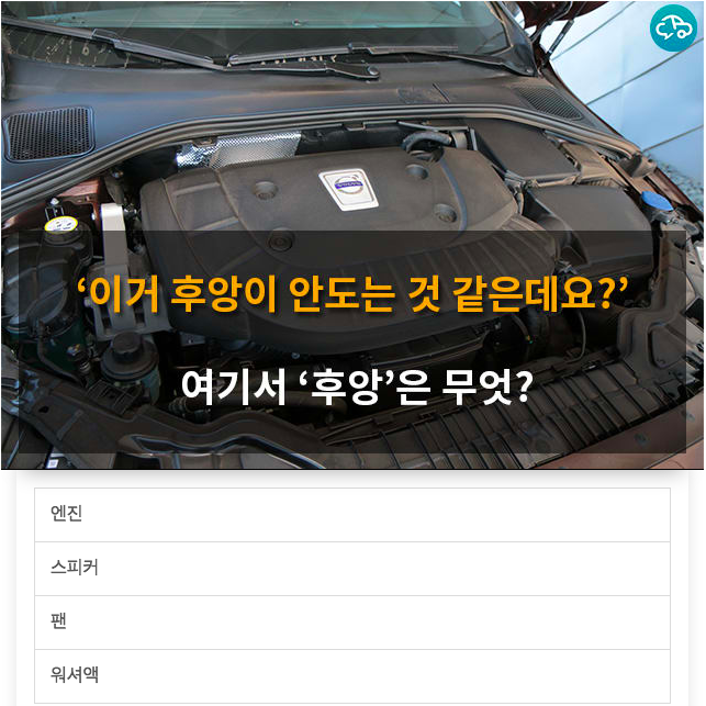 후앙~ 내차에 구찌가 4개? 잘못된 자동차 용어