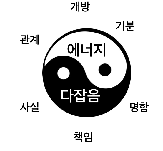 다양한 음양 응용 사례