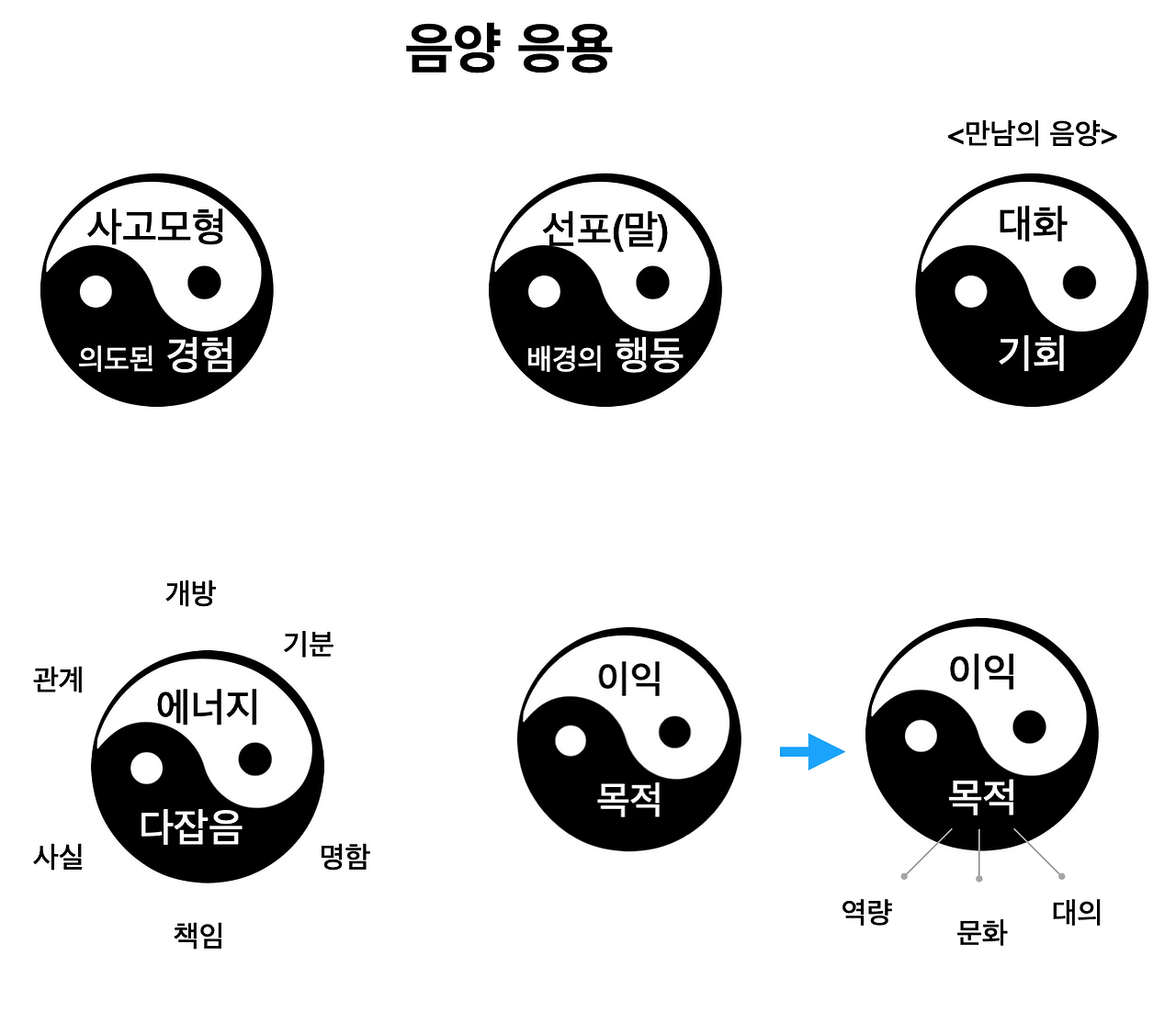다양한 음양 응용 사례