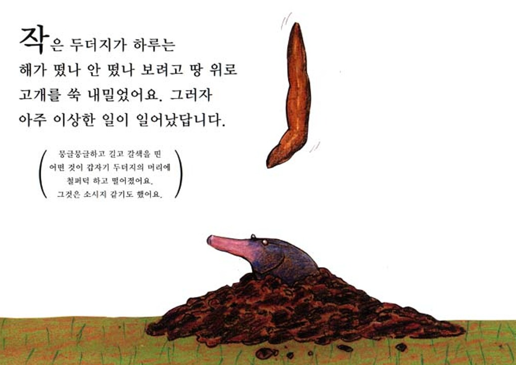 16화 누가 내 머리에 똥 쌌어?