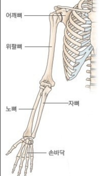 10화 팔