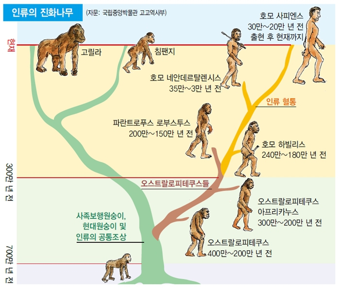 소비를 결정하는 인간의 근원적 욕망에 관하여