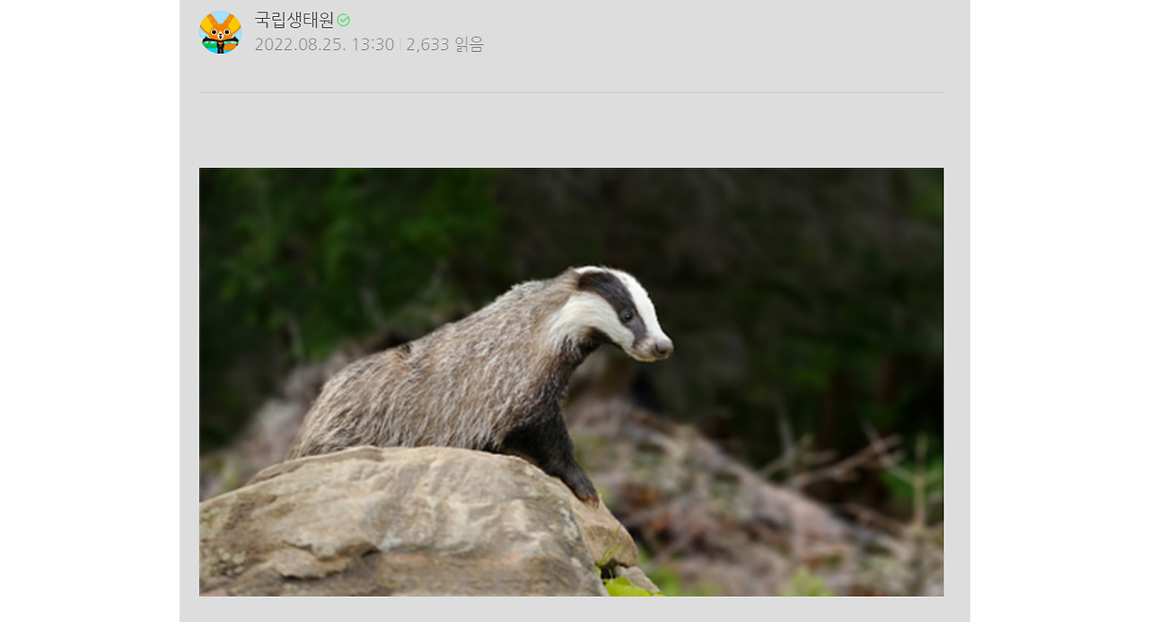 살'오'자 될 뻔했던 이야기