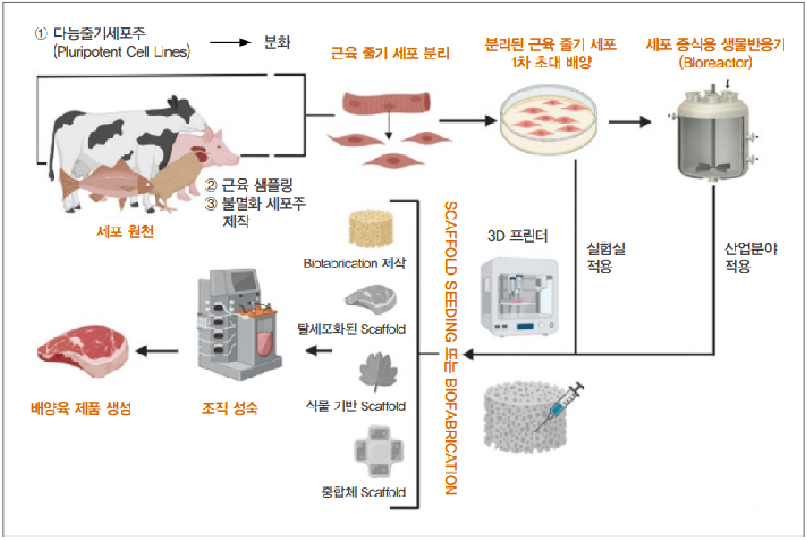 ESG 관점에서 대체육 시장의 성장