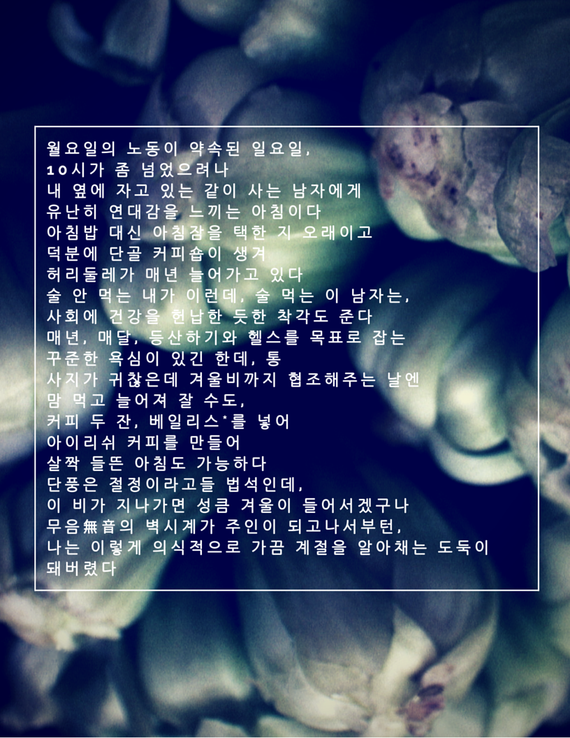 일요일 아침