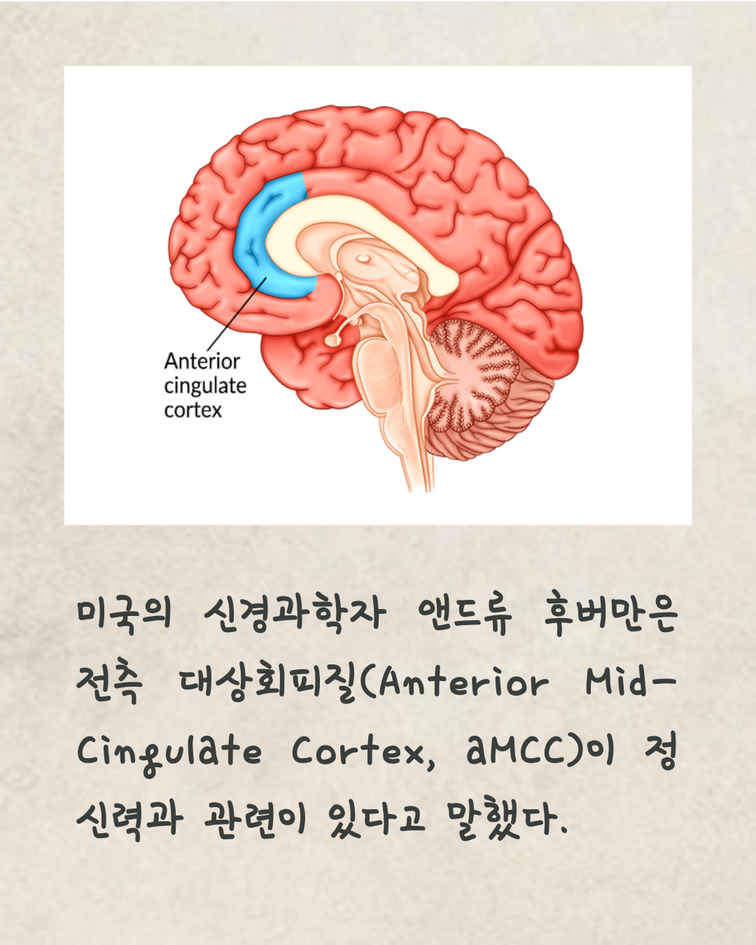 뇌 과학자가 말하는 정신력을 키우는 방법