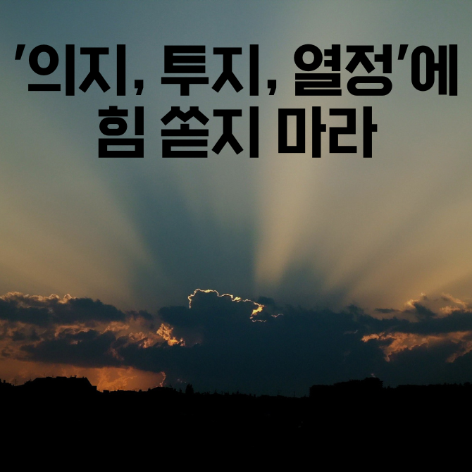 14화 '의지, 투지, 열정'에 힘쏟지 마라