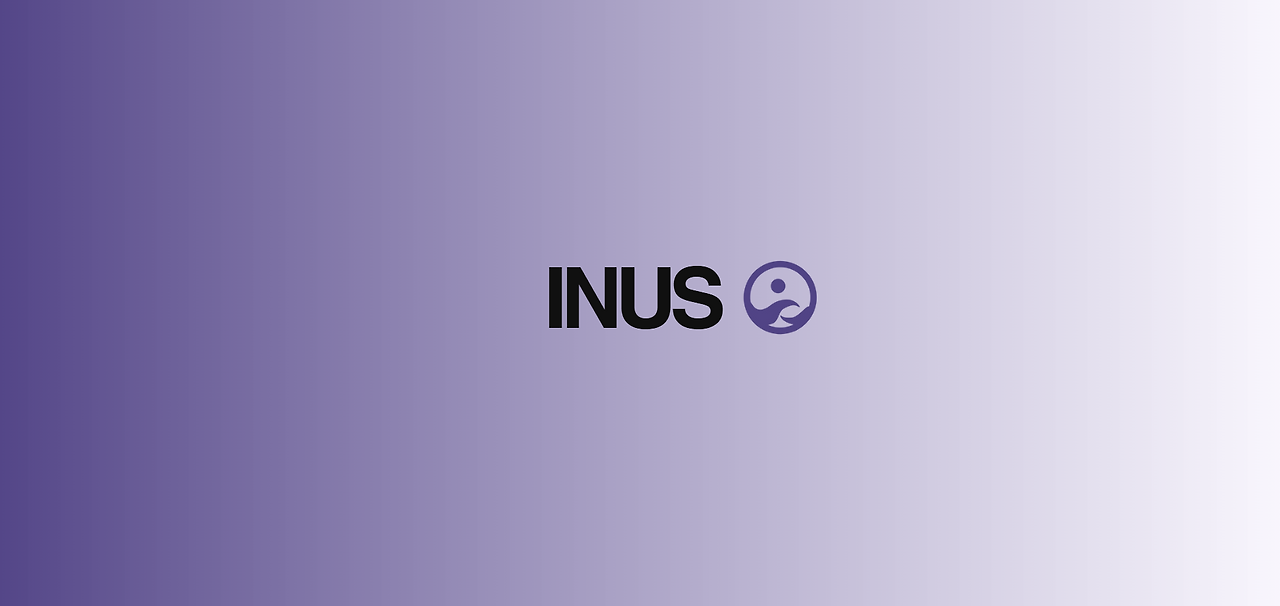We are INUS